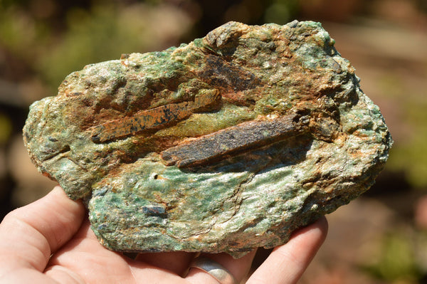 Natural Green Fuchsite With Blue Kyanite Crystals x 6 From