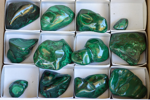 Polished Malachite Free Forms With Stunning Flower & Banding