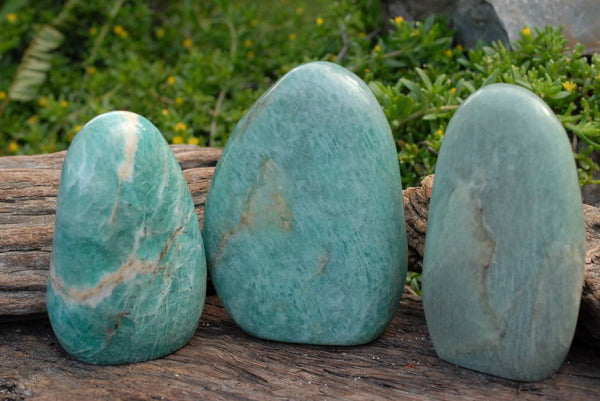 Polished Amazonite Standing Free Forms x 3 From Ambositra