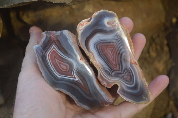 Polished River Agate Nodules  x 6 From Sashe River, Zimbabwe