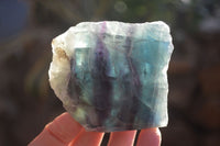 Polished Watermelon Fluorite Slices  x 6 From Namibia