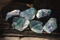 Polished Watermelon Fluorite Slices  x 6 From Namibia