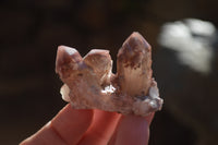 Natural Red Hematoid Quartz Specimens x 12 From Karoi, Zimbabwe