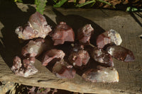 Natural Red Hematoid Quartz Specimens x 12 From Karoi, Zimbabwe