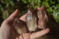 Natural Red Hematoid Quartz Specimens x 12 From Karoi, Zimbabwe