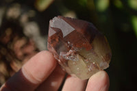 Natural Red Hematoid Quartz Specimens x 12 From Karoi, Zimbabwe