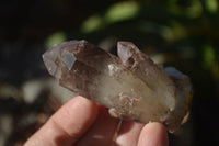 Natural Red Hematoid Quartz Specimens x 12 From Karoi, Zimbabwe