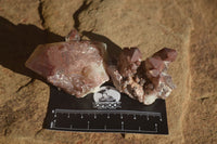 Natural Red Hematoid Quartz Specimens x 12 From Karoi, Zimbabwe