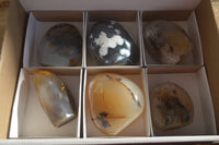 Polished Dendritic Agate Standing Free Forms  x 6 From Madagascar