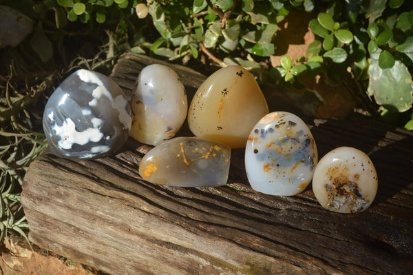 Polished Dendritic Agate Standing Free Forms  x 6 From Madagascar