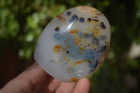 Polished Dendritic Agate Standing Free Forms  x 6 From Madagascar