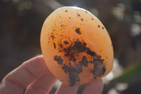 Polished Dendritic Agate Standing Free Forms  x 6 From Madagascar