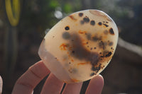 Polished Dendritic Agate Standing Free Forms  x 6 From Madagascar