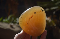 Polished Dendritic Agate Standing Free Forms  x 6 From Madagascar