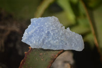 Natural Etched Blue Chalcedony Specimens x 59 From Nsanje, Malawi