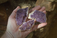 Natural Dark Amethyst Clusters x 12 From Kwaggafontein, South Africa