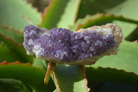 Natural Dark Amethyst Clusters x 12 From Kwaggafontein, South Africa