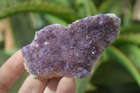 Natural Dark Amethyst Clusters x 12 From Kwaggafontein, South Africa