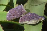 Natural Dark Amethyst Clusters x 12 From Kwaggafontein, South Africa