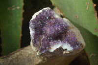 Natural Dark Amethyst Clusters x 12 From Kwaggafontein, South Africa