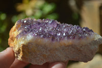 Natural Dark Amethyst Clusters x 12 From Kwaggafontein, South Africa