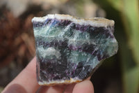 Natural Rough Watermelon Fluorite Cobbed Specimens  x 24 From Uis, Namibia