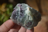 Natural Rough Watermelon Fluorite Cobbed Specimens  x 24 From Uis, Namibia