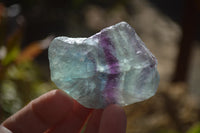 Natural Rough Watermelon Fluorite Cobbed Specimens  x 24 From Uis, Namibia