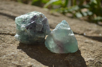 Natural Rough Watermelon Fluorite Cobbed Specimens  x 24 From Uis, Namibia