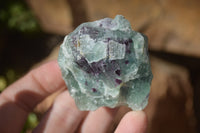 Natural Rough Watermelon Fluorite Cobbed Specimens  x 24 From Uis, Namibia