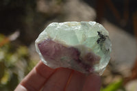 Natural Rough Watermelon Fluorite Cobbed Specimens  x 24 From Uis, Namibia