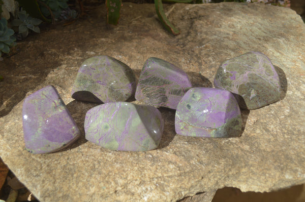 Polished Stichtite & Serpentine Standing Free Forms x 6 From Barberton, South Africa