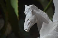 Polished White Marble Pegasus Carving x 1 From Zimbabwe