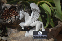 Polished White Marble Pegasus Carving x 1 From Zimbabwe