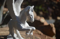 Polished White Marble Pegasus Carving x 1 From Zimbabwe