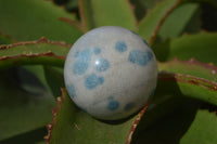 Polished Blue Spotted Spinel Quartz Spheres x 6 From Madagascar