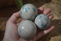 Polished Blue Spotted Spinel Quartz Spheres x 6 From Madagascar