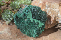 Natural Chatoyant Silky Malachite Specimens  x 3 From Kasompe, Congo