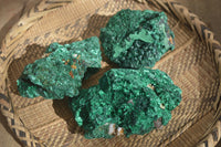 Natural Chatoyant Silky Malachite Specimens  x 3 From Kasompe, Congo