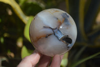 Polished Banded Agate Spheres  x 2 From West Coast, Madagascar