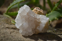 Natural Golden Limonite Quartz Clusters x 33 From Zambia