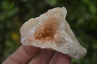 Natural Golden Limonite Quartz Clusters x 33 From Zambia