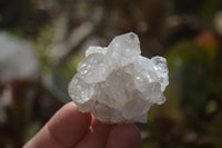 Natural Golden Limonite Quartz Clusters x 33 From Zambia