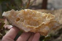 Natural Golden Limonite Quartz Clusters x 6 From Zambia