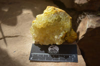 Natural Golden Limonite Quartz Clusters x 6 From Zambia