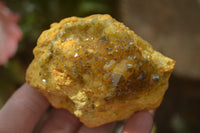 Natural Golden Limonite Quartz Clusters x 6 From Zambia