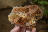 Natural Golden Limonite Quartz Clusters x 6 From Zambia