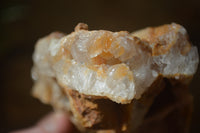 Natural Golden Limonite Quartz Clusters x 6 From Zambia