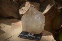 Polished Large Smokey Quartz Crystals x 2 From Angola