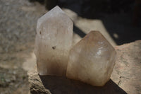 Polished Large Smokey Quartz Crystals x 2 From Angola